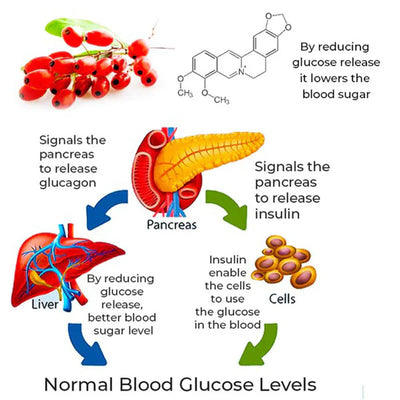 Furzero™ SugarSync Health Control Aerosolizer